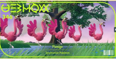 smogon flamigo|Flamigo Movesets and Best Builds .